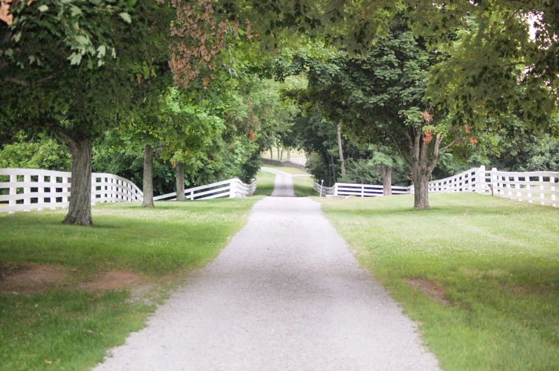 Epoxy Stone Driveway Service